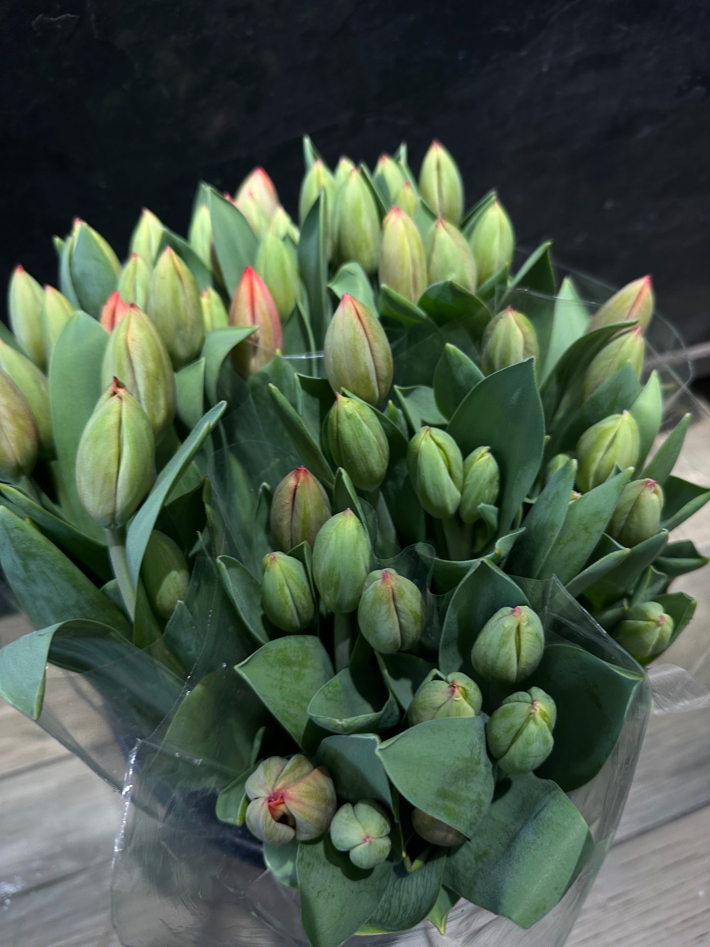 Tulips bunch Seasonal Colors